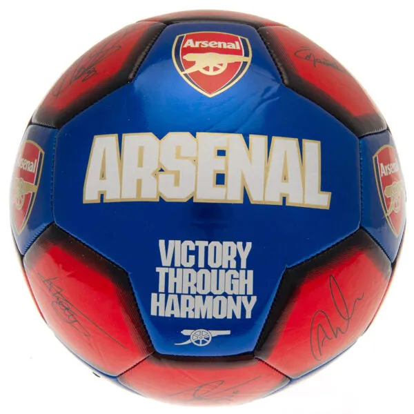 Arsenal FC 26 Panel Football