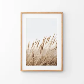 Bohemian Pampas Grass Print. Nature Inspired Theme