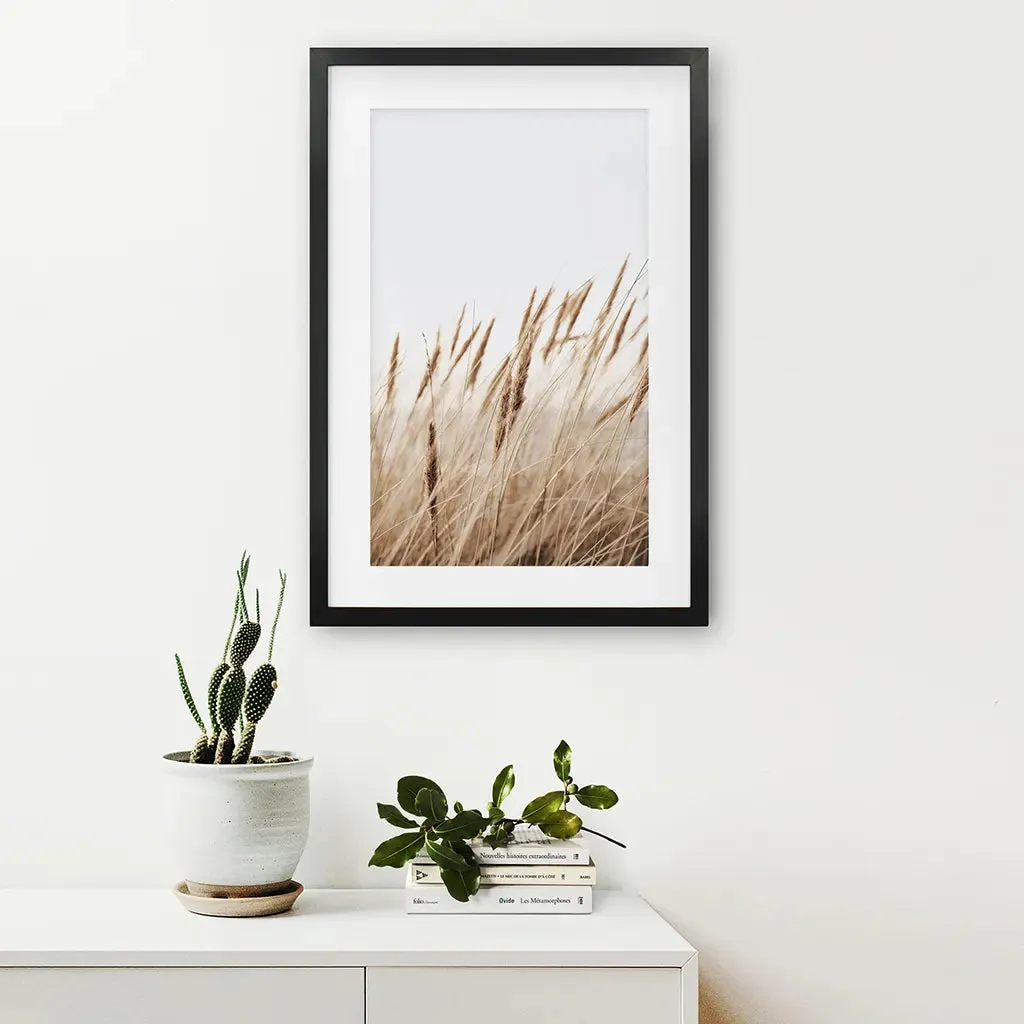 Bohemian Pampas Grass Print. Nature Inspired Theme