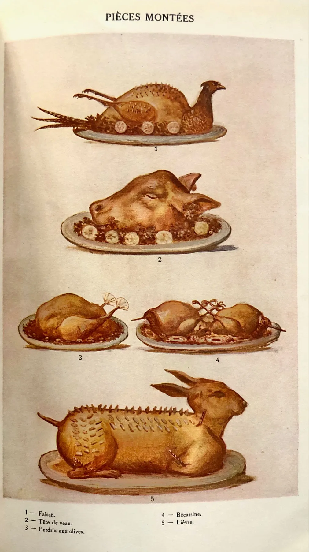 (French) La Cuisine Moderne Illustre, comprenant la Cuisine en General, la Patisserie, la Confiserie et les Conserves